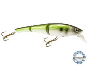 Head Hunter 6"