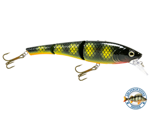 Head Hunter 6"