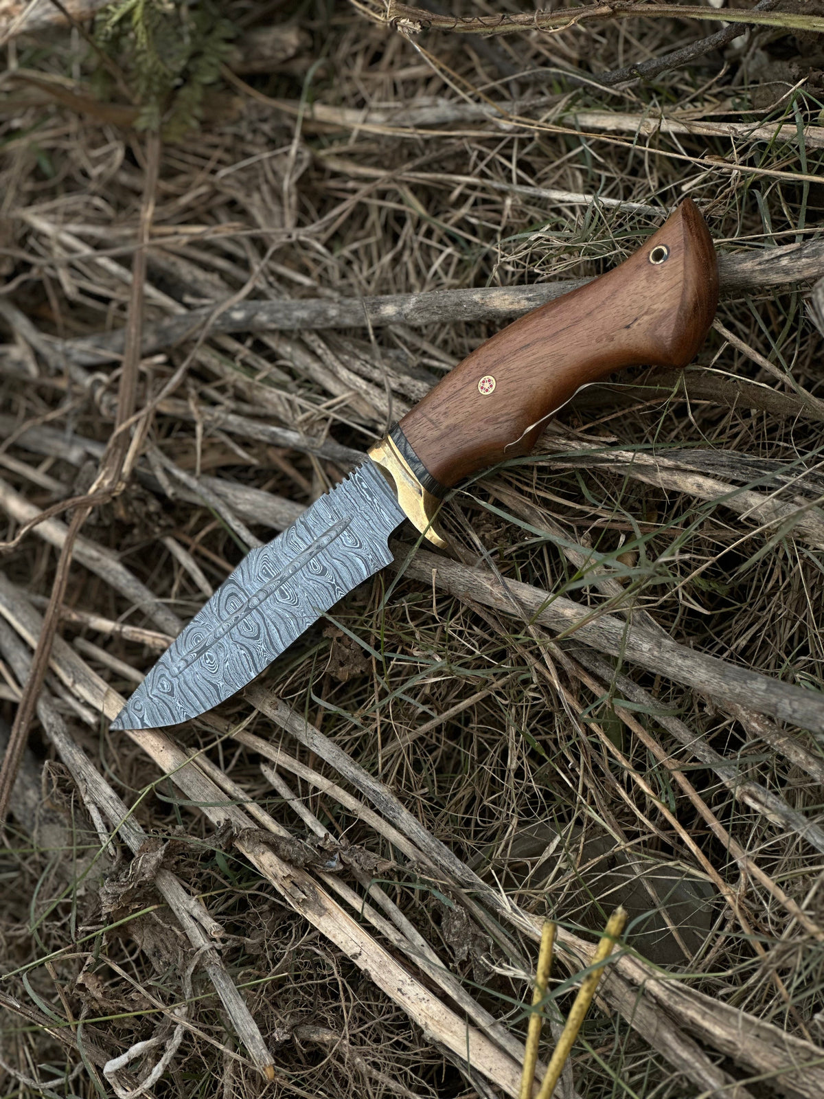 Hunting Blade – 10" Damascus Steel Knife with Rosewood Handle, Brass Guard &amp; Leather Sheath