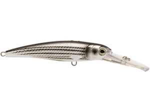 Voyager