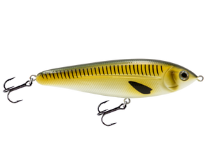 School Master Salt Water