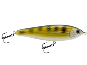 School Master Salt Water