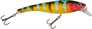 Head Hunter 8"