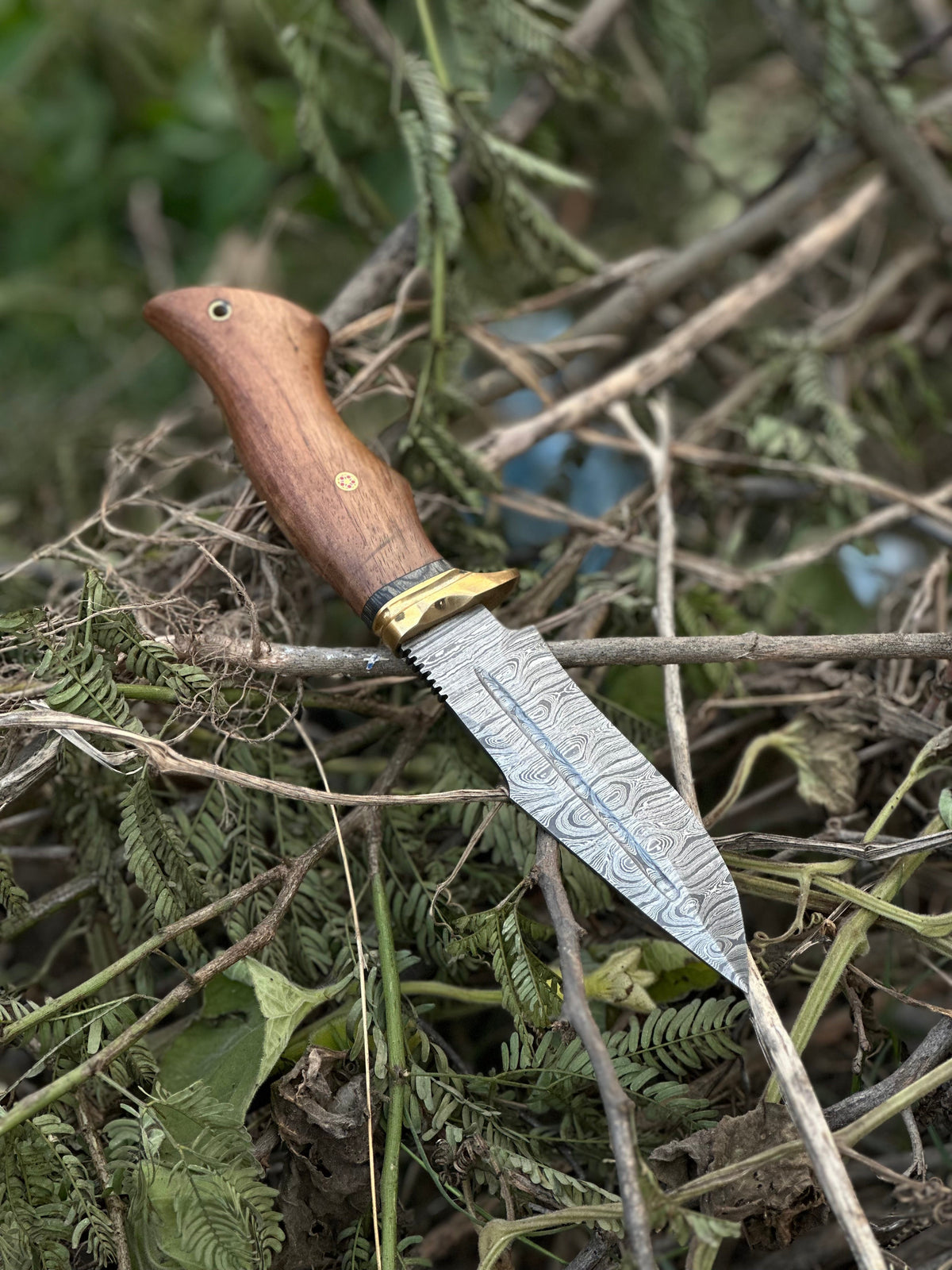 Hunting Blade – 10" Damascus Steel Knife with Rosewood Handle, Brass Guard &amp; Leather Sheath