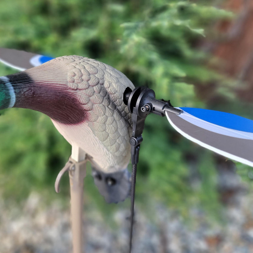 Animator V2 for Mojo Baby &amp; Original Teal