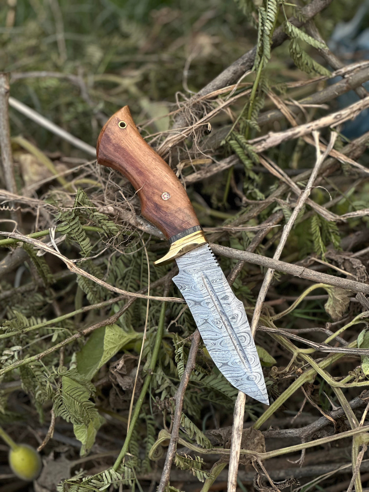 Hunting Blade – 10" Damascus Steel Knife with Rosewood Handle, Brass Guard &amp; Leather Sheath