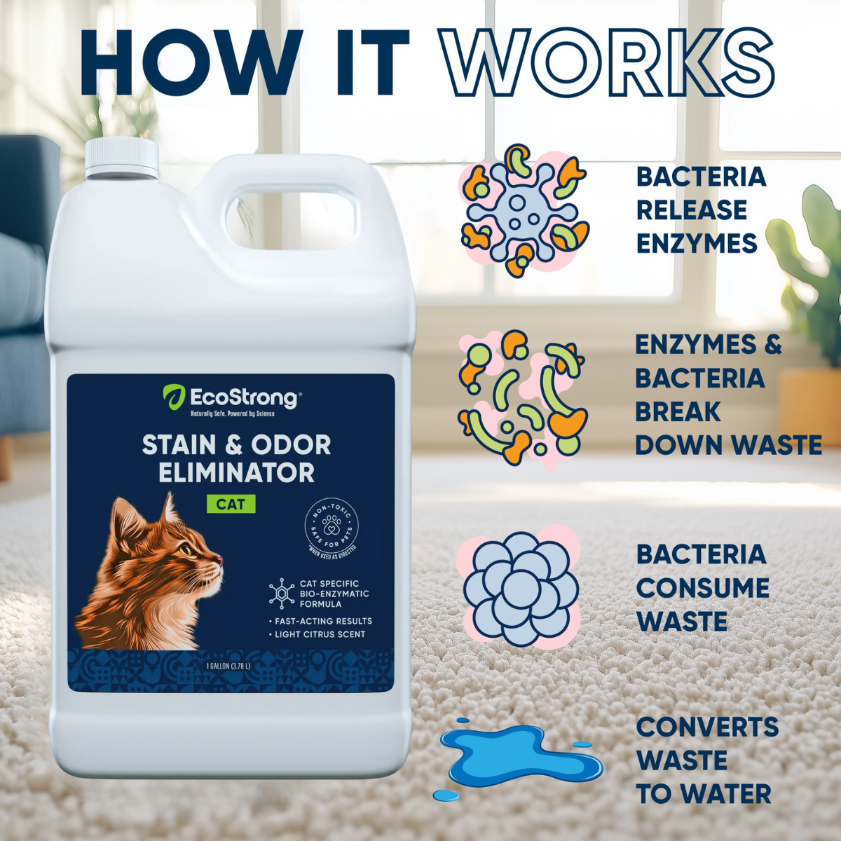 Cat Stain and Odor Eliminator