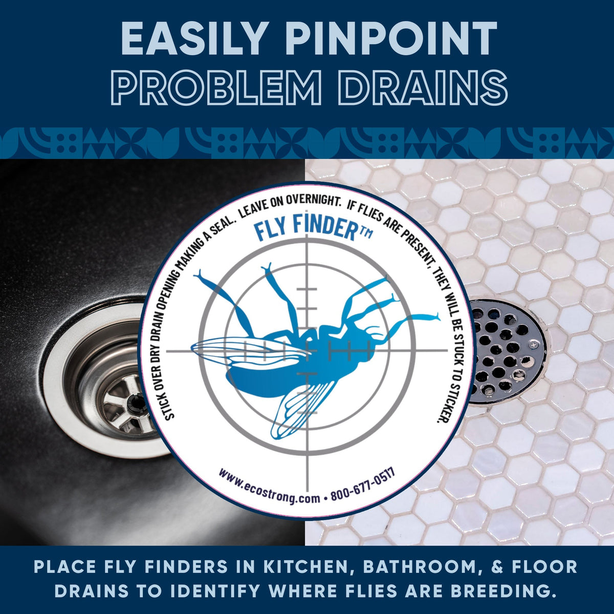 Drain and Fruit Fly Eliminator