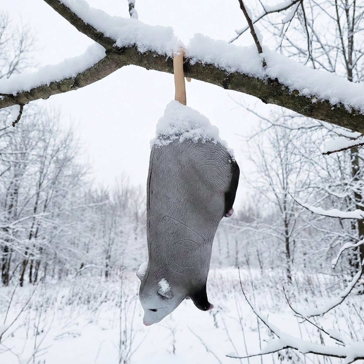 Real Wild 3D Hanging Opossum Archery Target