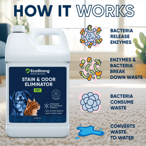 Pet Stain and Odor Eliminator