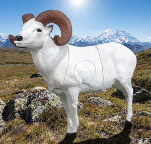 Real Wild 3D Dall Sheep