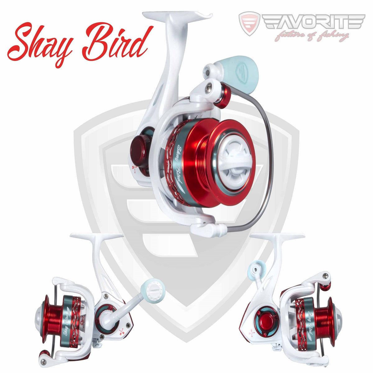 Shay Bird Spinning Reel