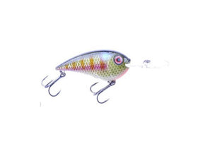 Bruiser Cruiser Crankbait