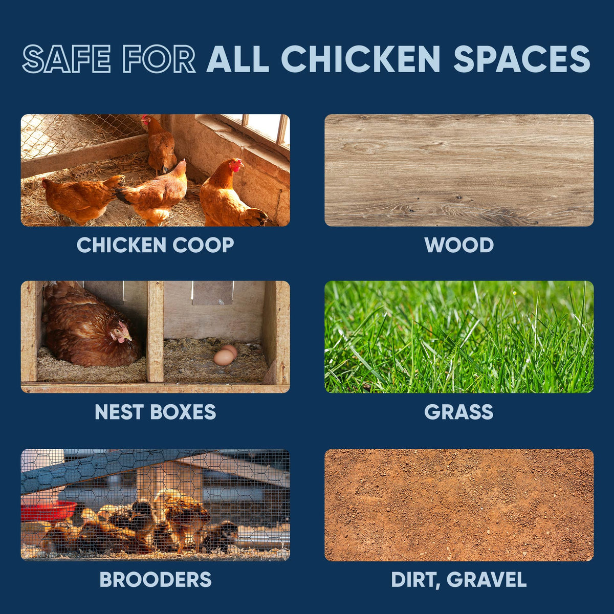 Chicken Coop Odor Eliminator