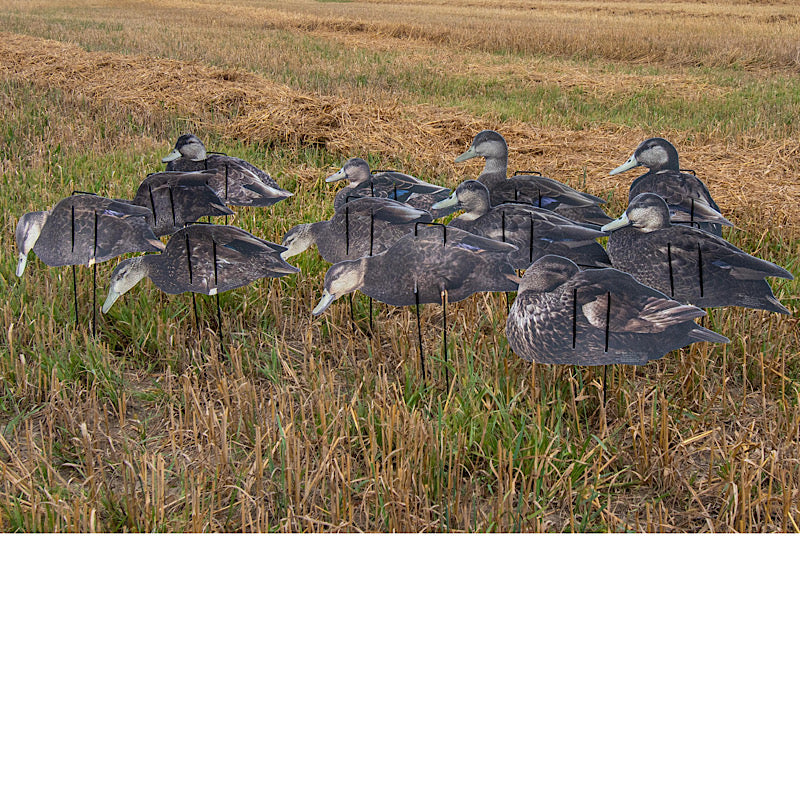 Pro II Lite Black Ducks