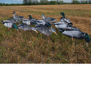 Pro II Lite Mallards