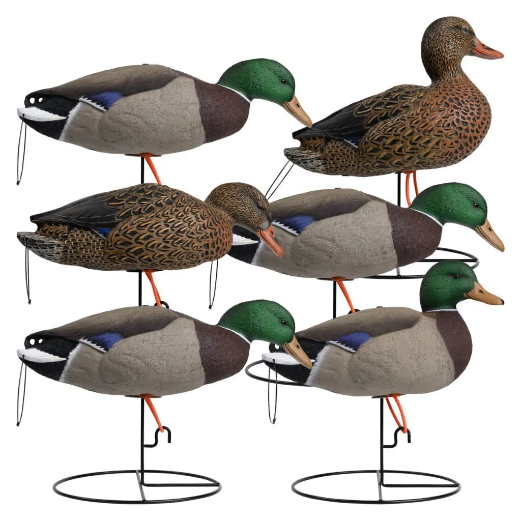 Full Body Mallards (6-Pack