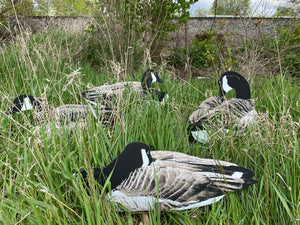Pro Series II Sit’n Geese