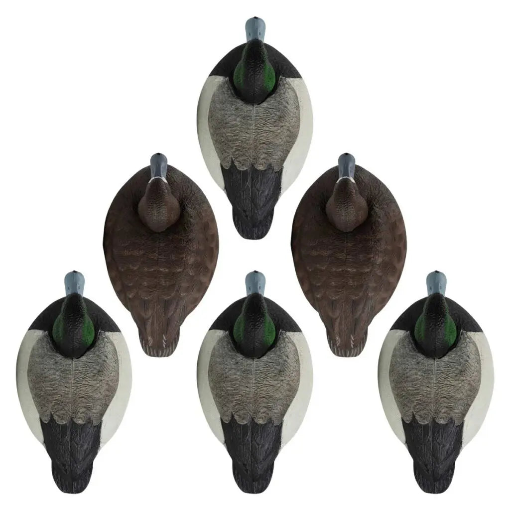 Rugged Series Bluebill – Foam Filled