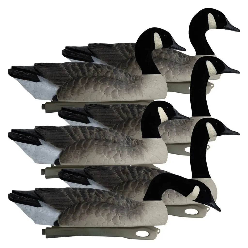 Rugged Series Canada Goose Floaters Touchdown Decoys – Flocked Head 6 Pack