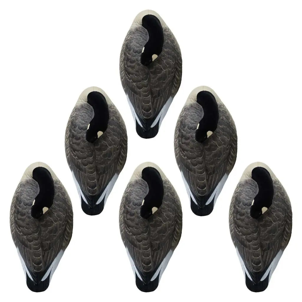 Rugged Series Canada Sleeper Shell Decoys – Flocked Head 6 Pack