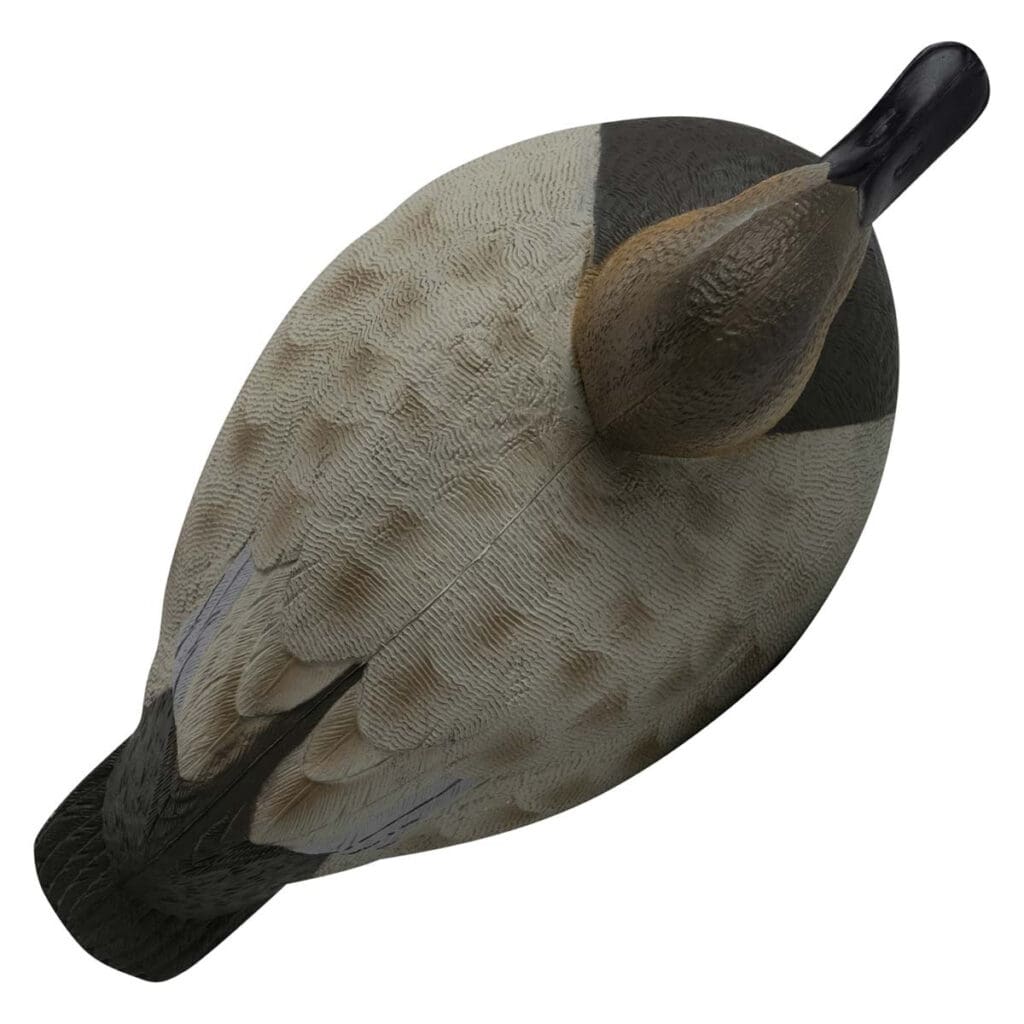 Rugged Series Canvasback Decoys – Foam Filled