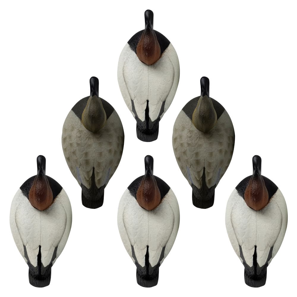 Rugged Series Canvasback Decoys – Foam Filled