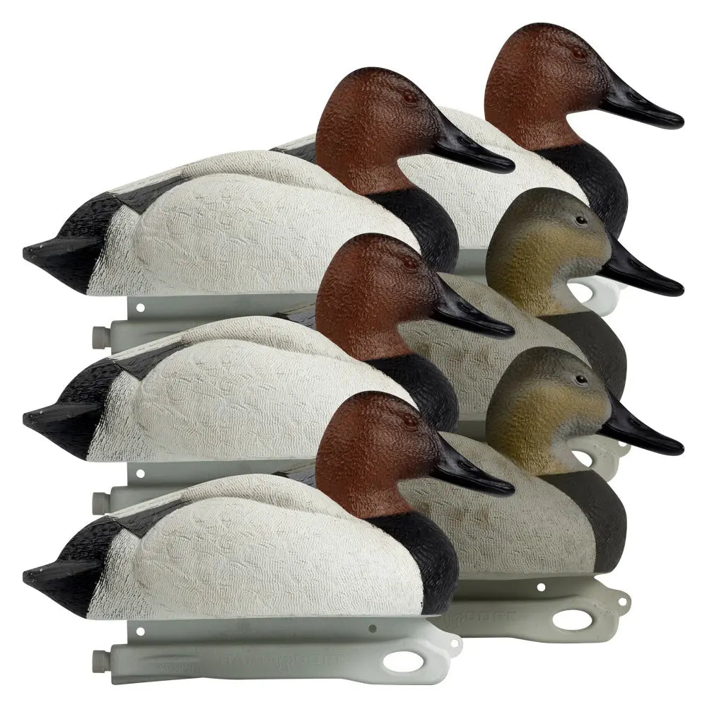 Rugged Series Canvasback Decoys – Foam Filled
