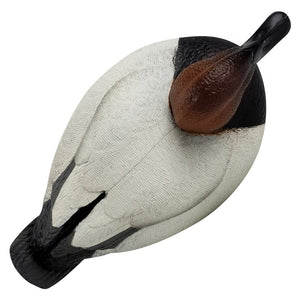 Rugged Series Canvasback Decoys – Foam Filled