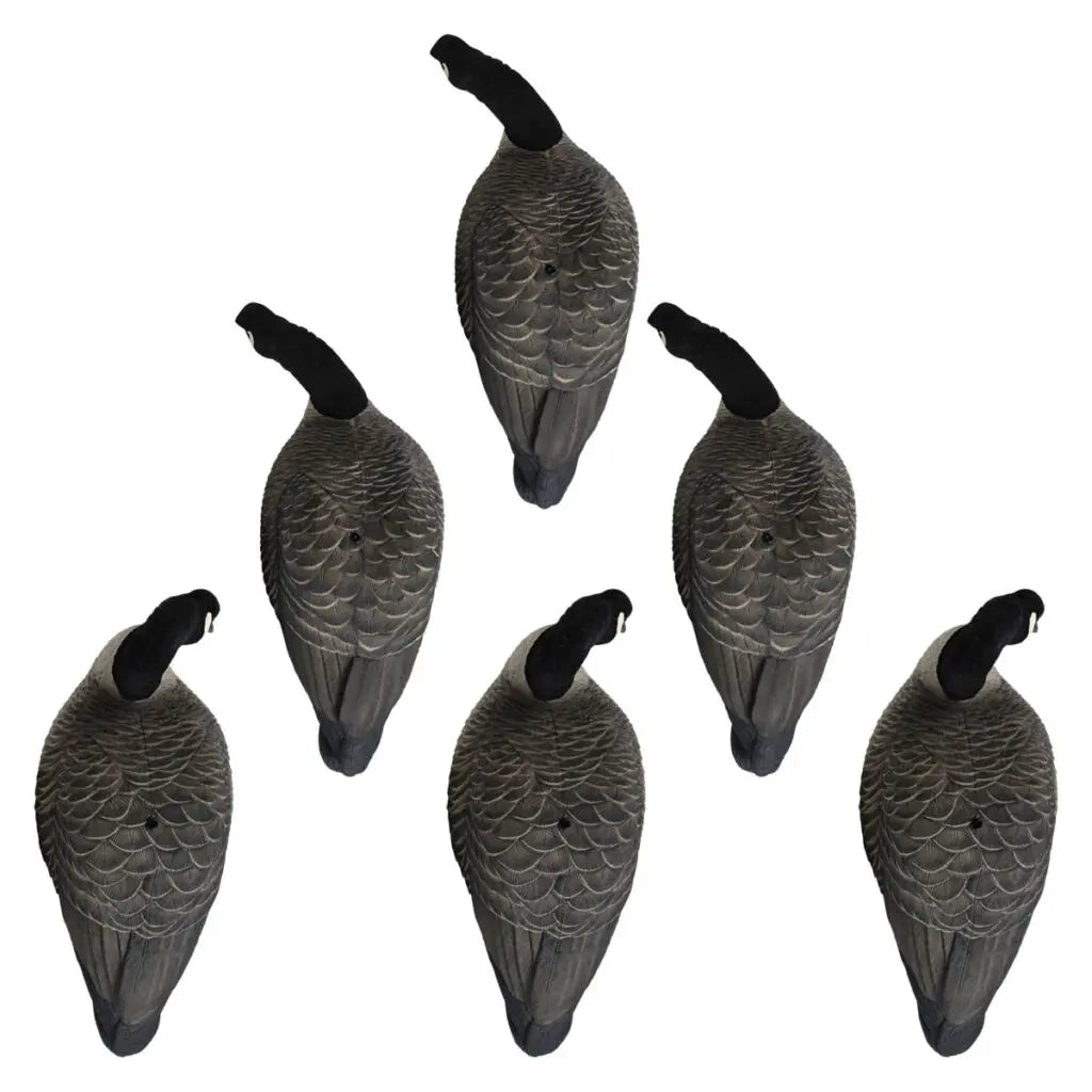 Rugged Series Full Body Canada Goose Feeder Decoys – Flocked Head