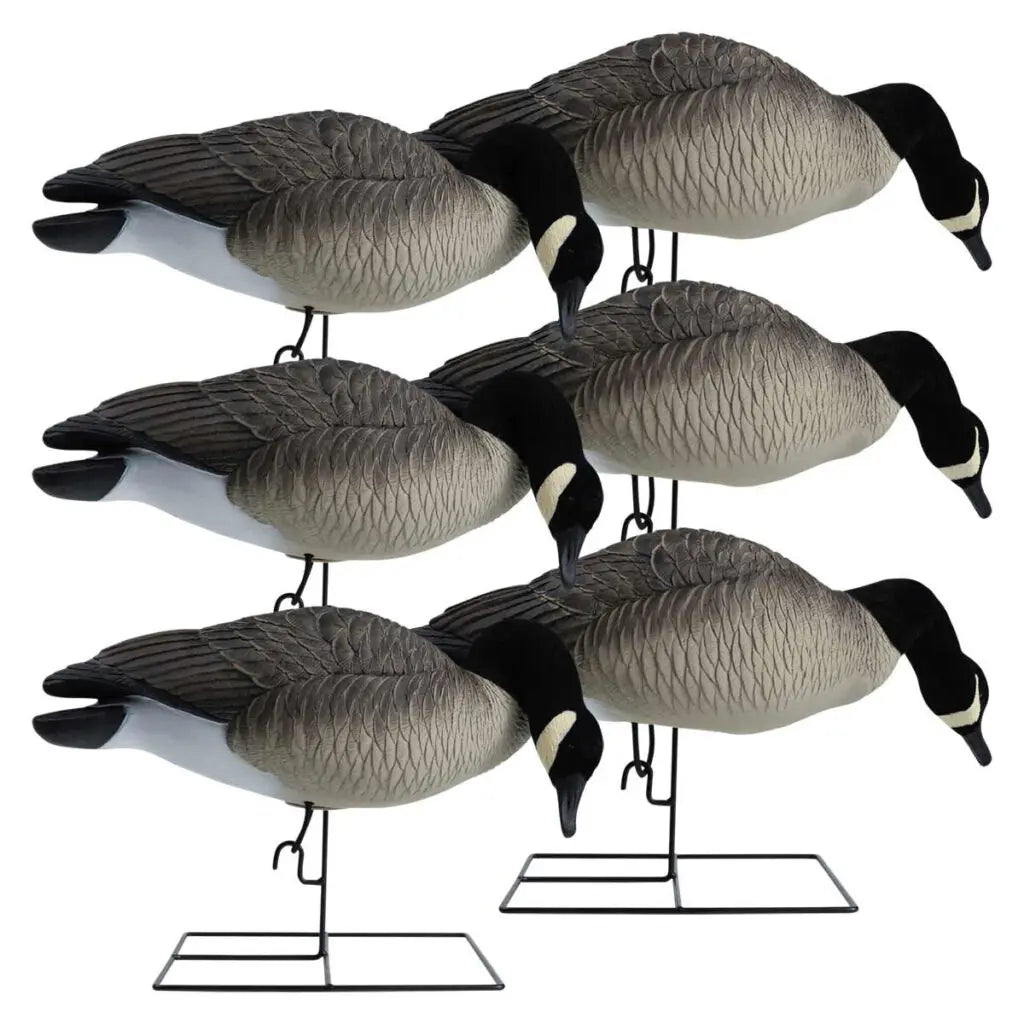 Rugged Series Full Body Canada Goose Feeder Decoys – Flocked Head