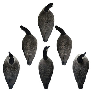 Rugged Series Full Body Canada Goose Touchdown Decoys – Flocked Head