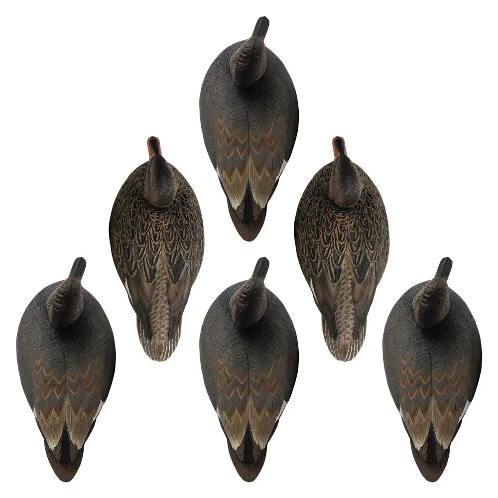 Rugged Series Gadwall