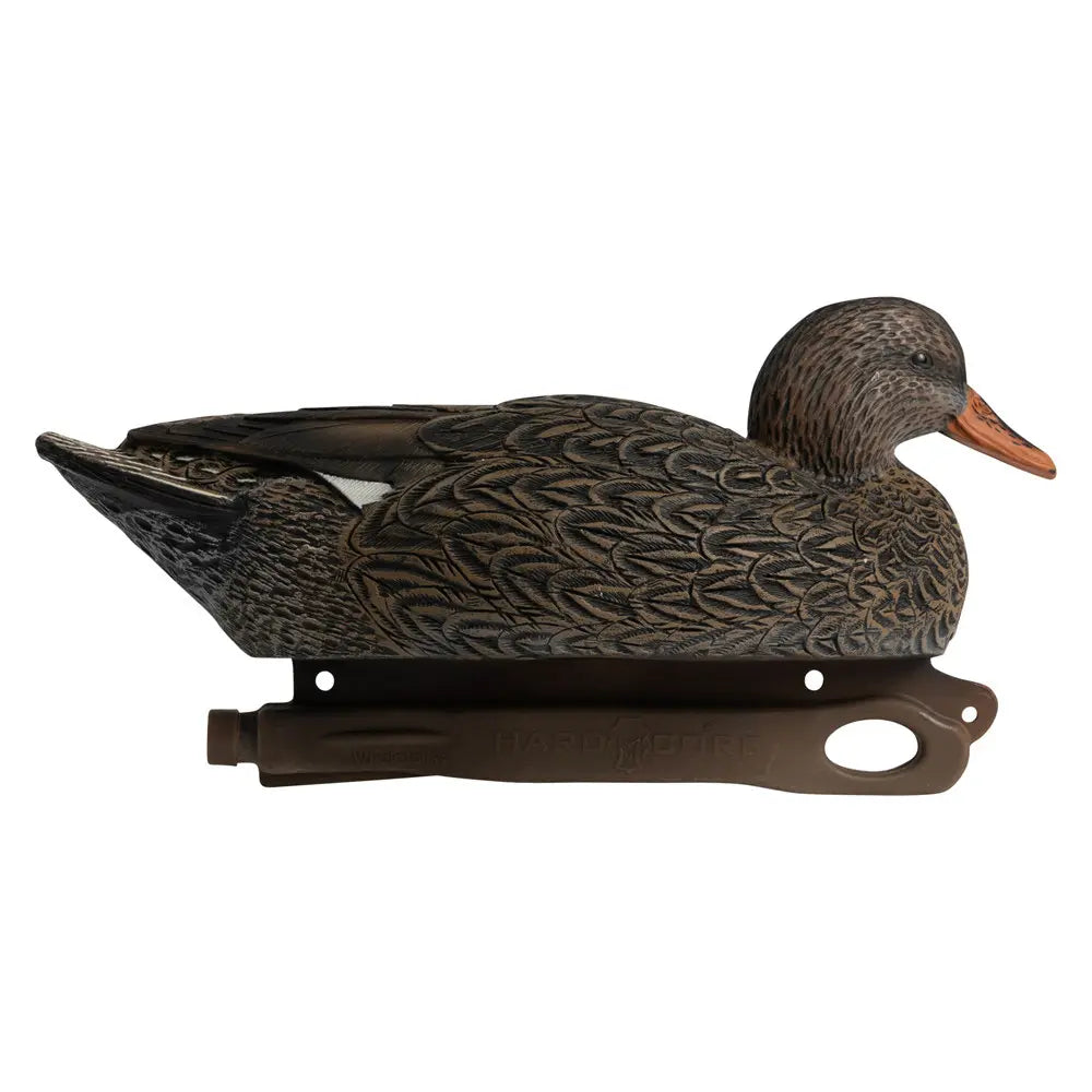 Rugged Series Gadwall
