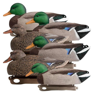 Rugged Series Mallard Magnum Decoys