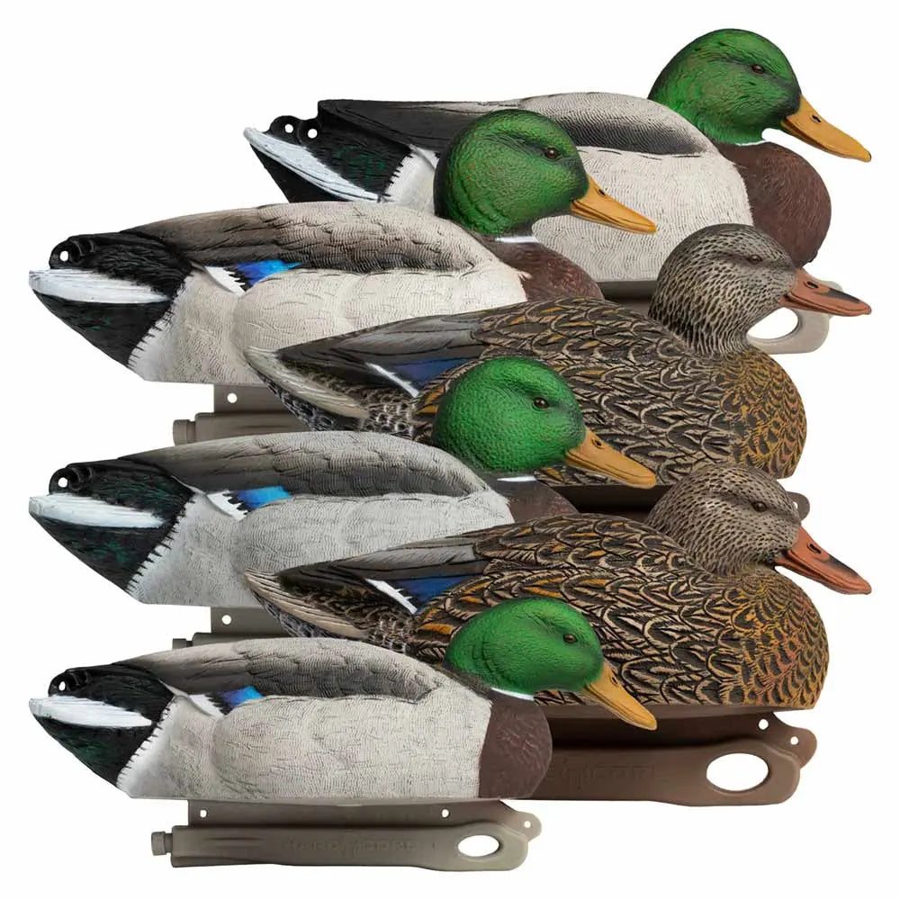 Rugged Series Mallard Magnum Decoys – Redlegs