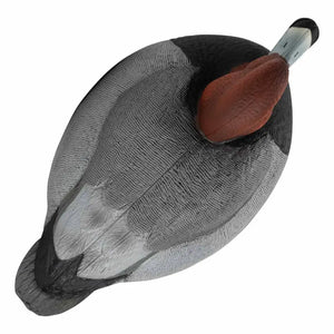Rugged Series Redhead Decoys – Foam Filled