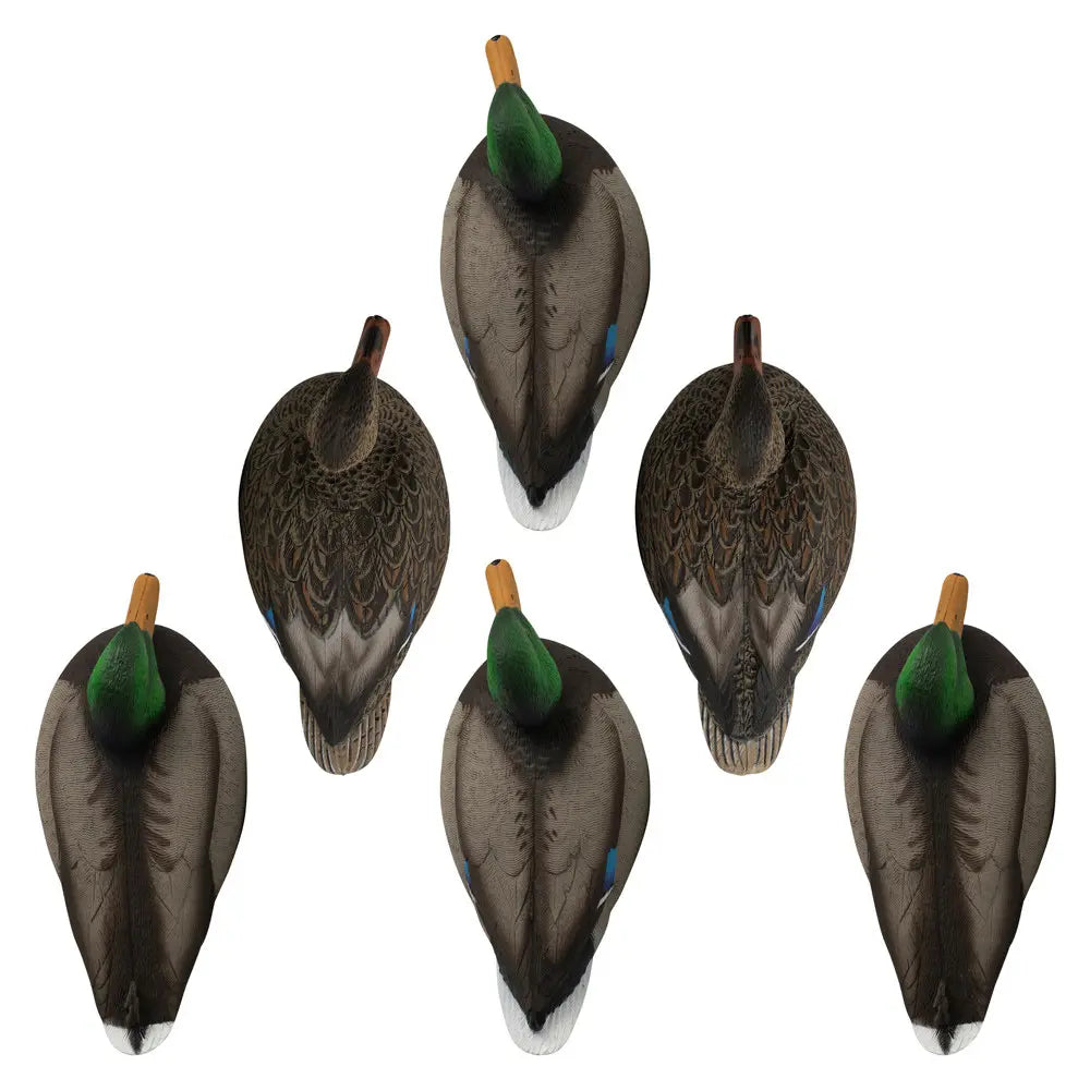 Rugged Series Standard Mallard