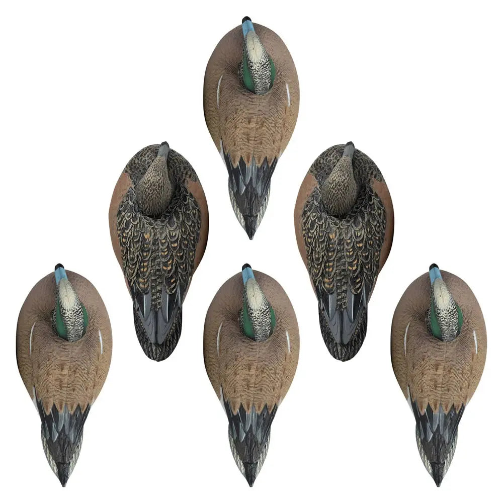 Rugged Series Wigeon