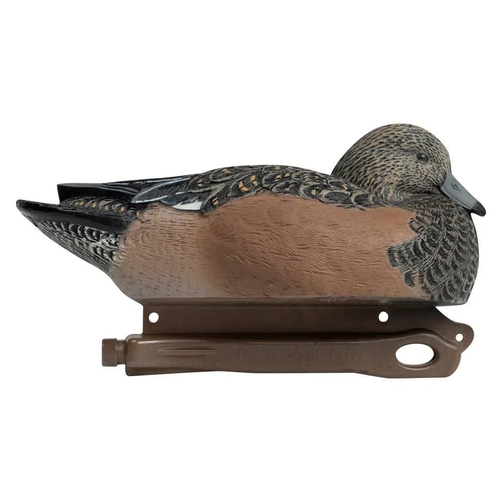 Rugged Series Wigeon