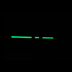 Tournament Series Spinning Rod