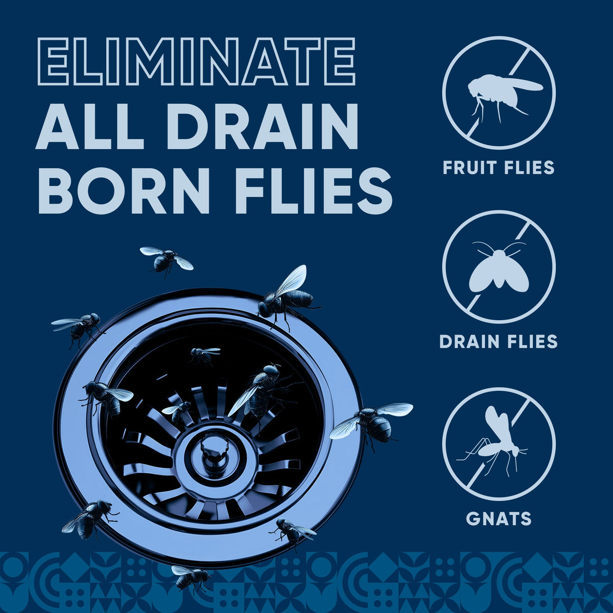 Drain and Fruit Fly Eliminator