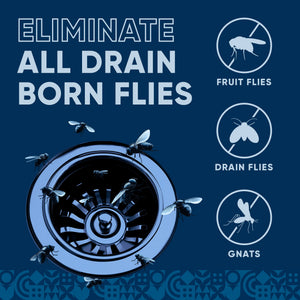Drain and Fruit Fly Eliminator