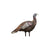 Avian-X LCD Lookout Hen Decoy