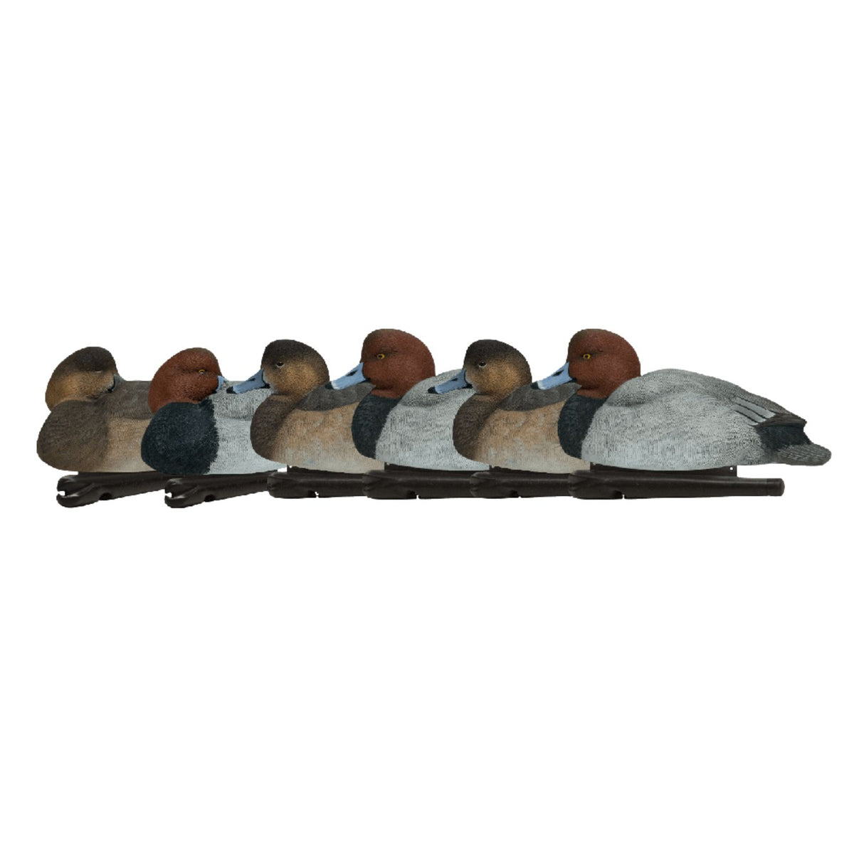 Avian-X Topflight Decoys Redheads