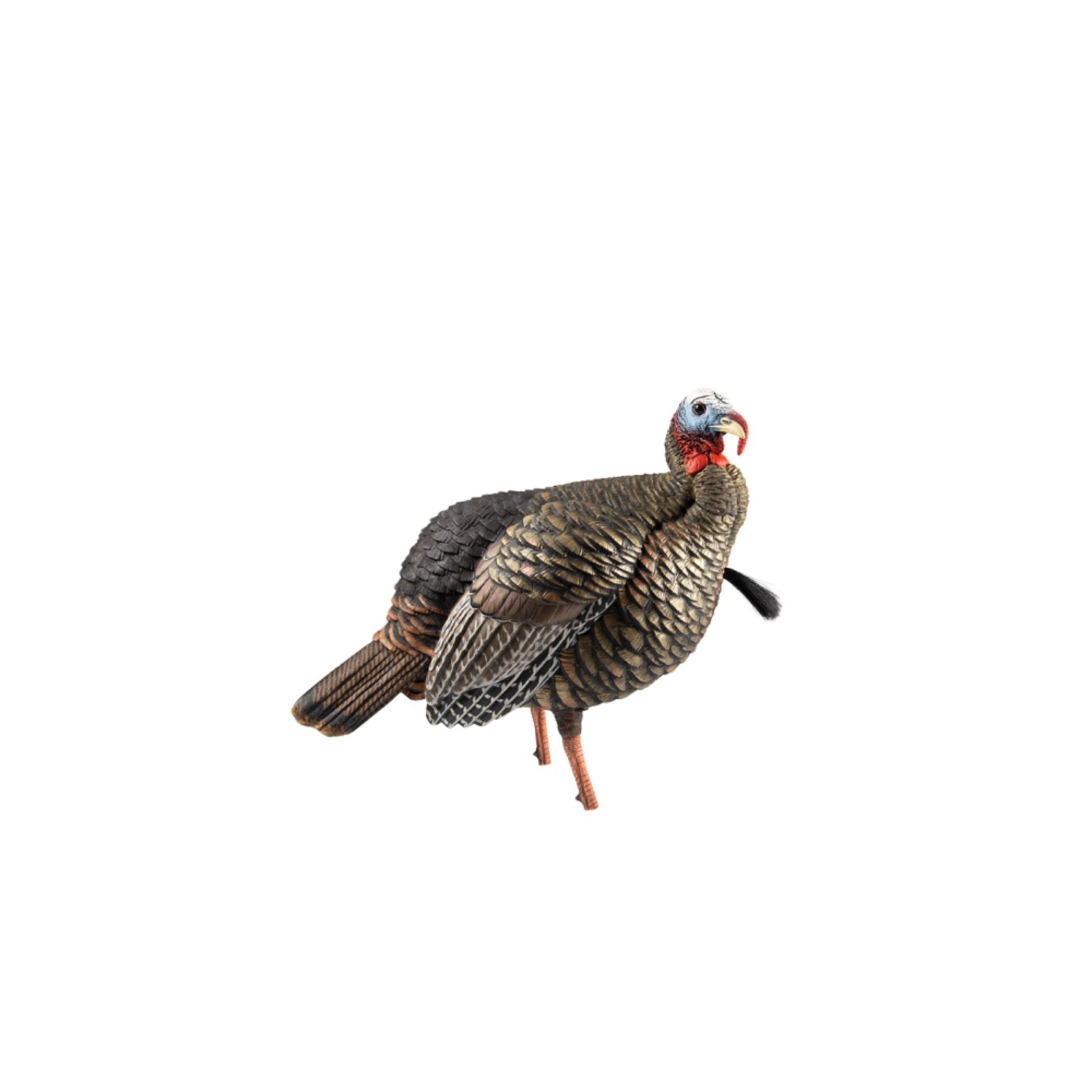 Avian-X HDR Jake Decoy