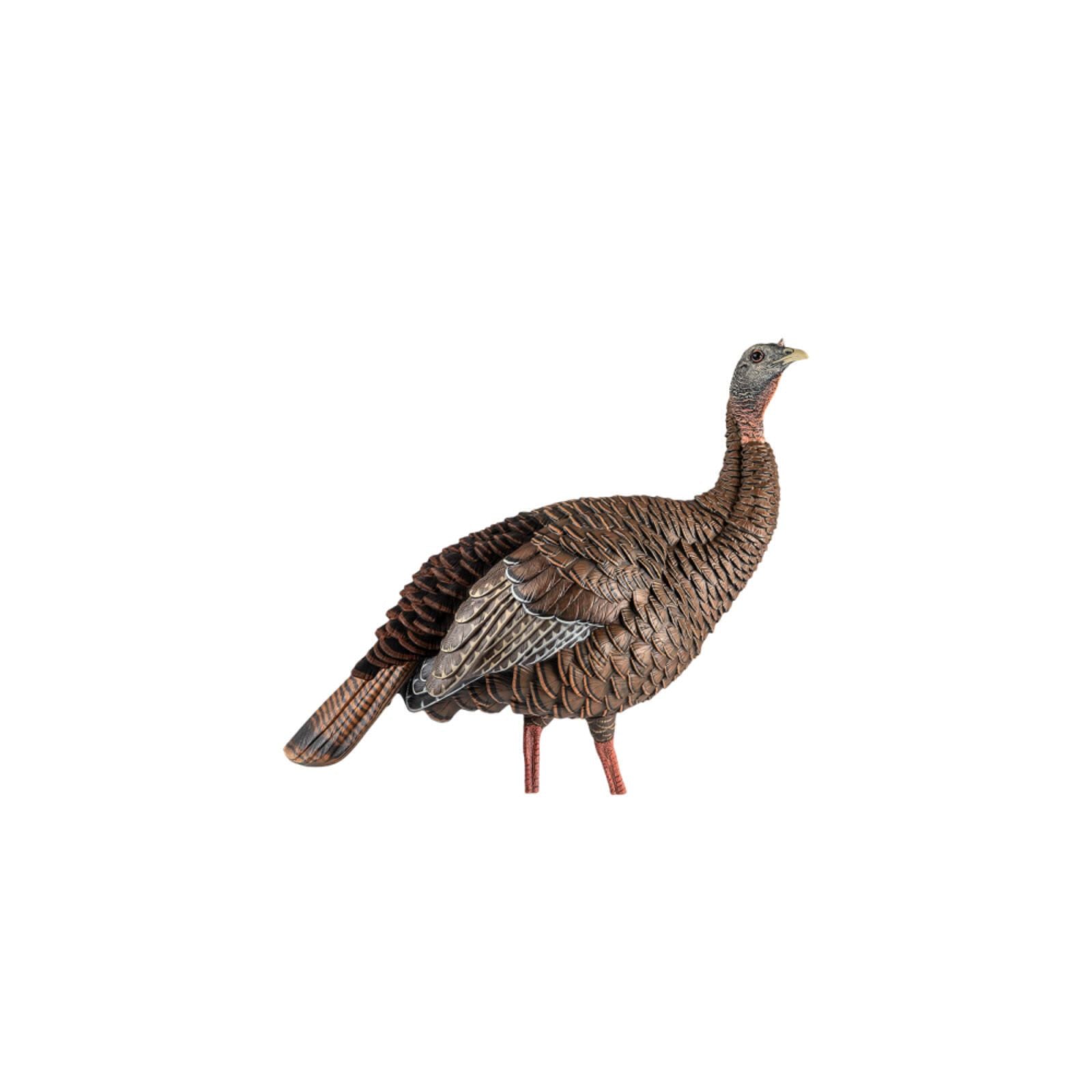 Avian-X HDR Hen Decoy