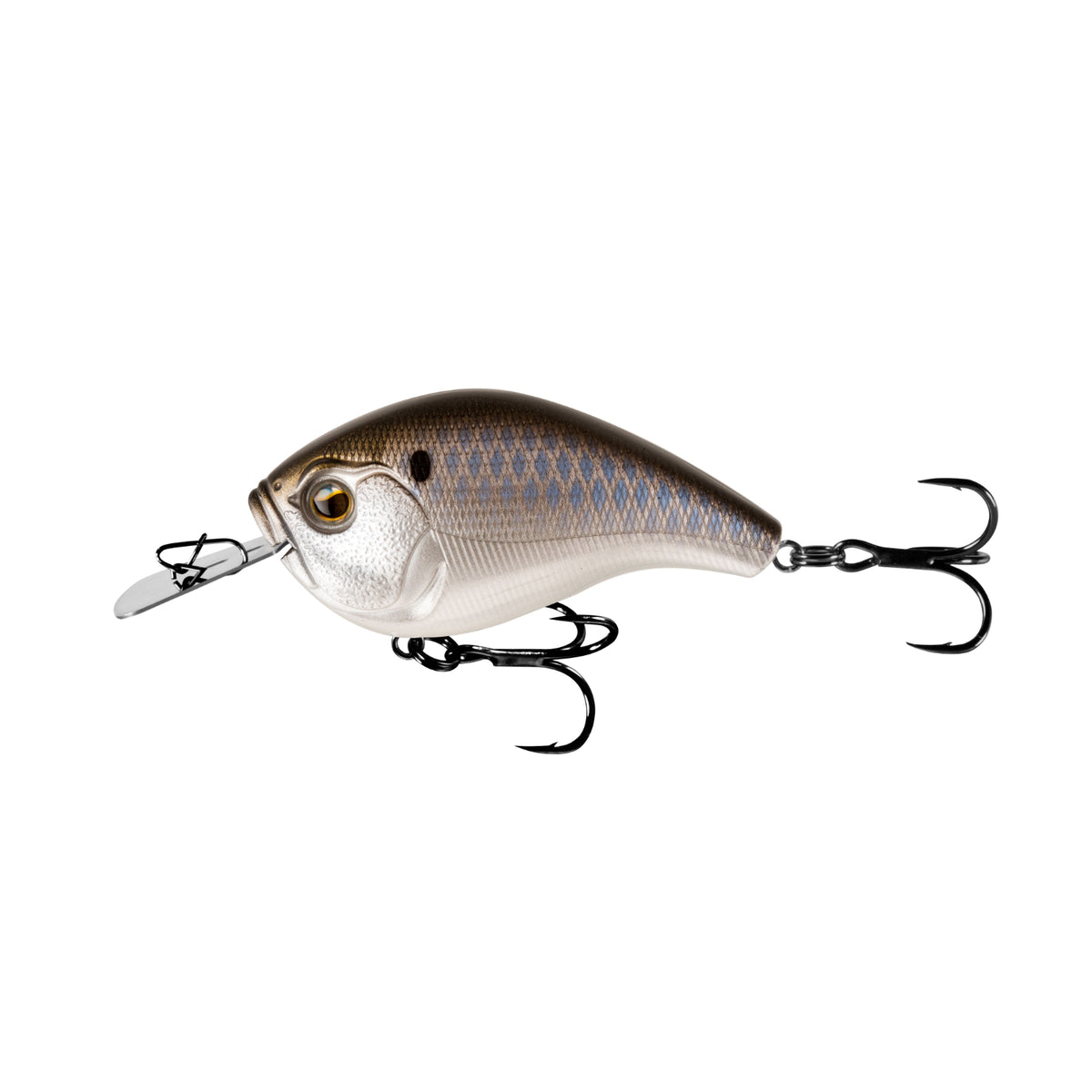 13 Fishing Jabber Jaw Hyb Squarebill 2.3in 0.5oz-BlkBackShad