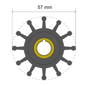 Albin Pump Premium Impeller Kit 57 x 12.7 x 20mm - 12 Blade - Key Insert OutdoorUp