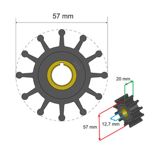 Albin Pump Premium Impeller Kit 57 x 12.7 x 20mm - 12 Blade - Key Insert OutdoorUp